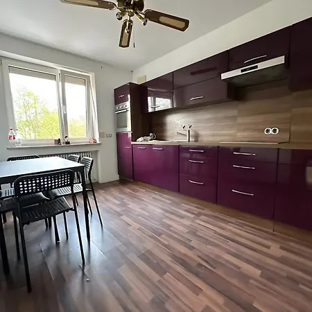 Apartment Monteurszimmer *